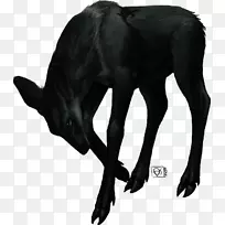 Ȯ��Ȯ����ë�����ӣ��׹�-������