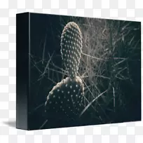 ԭľ��Ӱ�л���-�����Ʒ���-������