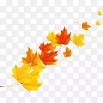 枫叶秋枫叶载体-空若网 枫叶秋枫叶载体-空若网