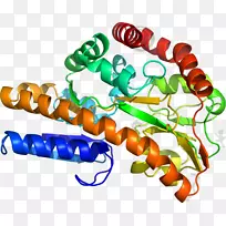 人体珠宝有机体线条剪贴画.珠宝-空若网 人体珠宝有机体线条剪贴画.珠宝-空若网