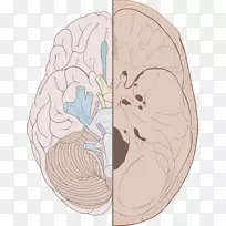 ���񾭣�����ϵͳ��­ǻ-��-������