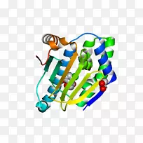 玩具身体珠宝剪贴画-玩具-空若网 玩具身体珠宝剪贴画-玩具-空若网