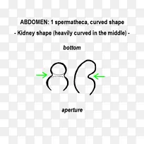 标志圈品牌设计-空若网 标志圈品牌设计-空若网