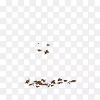 À¥³æÏßµãÌì¿Õplc×ÖÌå-À¥³æ-¿ÕÈôÍø À¥³æÏßµãÌì¿Õplc×ÖÌå-À¥³æ-¿ÕÈôÍø