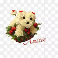 �ʻ���������ʥ������-��������-������