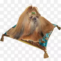 ʯ��Ȯ��ֳ������������Ȯ����-������