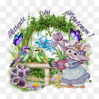 花卉设计复活节开花植物-复活节-空若网 花卉设计复活节开花植物-复活节-空若网