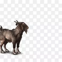 山羊动物群野生动物鼻子-狮子幼崽-空若网 山羊动物群野生动物鼻子-狮子幼崽-空若网