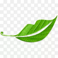 Ò¶-¿ÕÈôÍø Ò¶-¿ÕÈôÍø