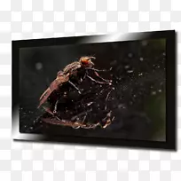 高清晰度电视像素4k分辨率.高清晰度电视屏幕物理图-空若网 高清晰度电视像素4k分辨率.高清晰度电视屏幕物理图-空若网