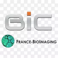 生物成像研究医学影像居里研究所神经科学橙-空若网 生物成像研究医学影像居里研究所神经科学橙-空若网