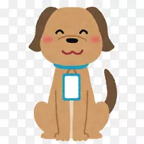 癌症猫狗治疗宠物猫-空若网 癌症猫狗治疗宠物猫-空若网