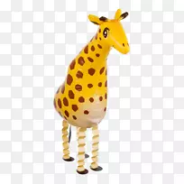 ����¹½�����ﳤ��¹-������