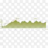 Ҷ����ԴƷ��-Ҷ-������