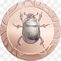 银币白铜金银-空若网 银币白铜金银-空若网