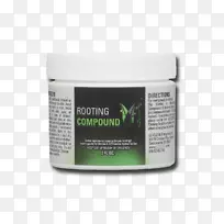 扦插化学复合吲哚-3-丁酸植物繁殖-嫩椰子的克隆-空若网 扦插化学复合吲哚-3-丁酸植物繁殖-嫩椰子的克隆-空若网