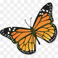 帝王蝴蝶昆虫剪贴画-蝴蝶-空若网 帝王蝴蝶昆虫剪贴画-蝴蝶-空若网