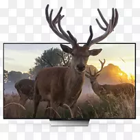 高效视频编码android机顶盒智能电视-空若网 高效视频编码android机顶盒智能电视-空若网