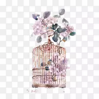 ��������ˮ�ʻ���������ˮ�ʻ���-������