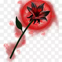 ������Ӱ����ֲ��-������