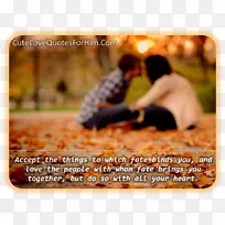 �����ֽ1080 p facebook��ʾ�ֱ���-facebook-������