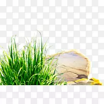 ���ز�ƺ������-��ɫ�ʲ�ʯװ��ͼ��-������