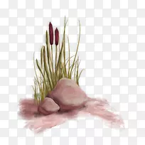 水生植物绿红鲜石装饰图案-空若网 水生植物绿红鲜石装饰图案-空若网