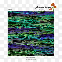 �л�����������-������