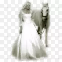 网上托管服务马电子邮件-万维网-空若网 网上托管服务马电子邮件-万维网-空若网