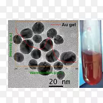 玻璃瓶有机体-玻璃-空若网 玻璃瓶有机体-玻璃-空若网