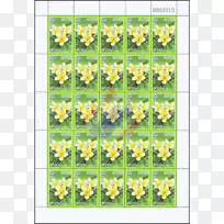 小老鼠草甸-老鼠-空若网 小老鼠草甸-老鼠-空若网