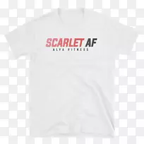 t����������-��ʽƽ��-������