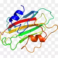 �ߵ������������-������