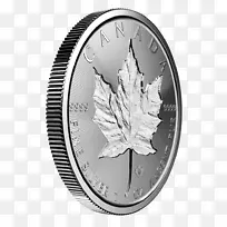 ���ô�����Ҷ���-������