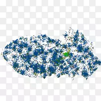 开花植物灌木天穴-空若网 开花植物灌木天穴-空若网