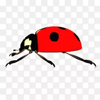 ư�������-ľż-������