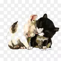 èˮ²Ê»²åͼˮ²Ê»Ã¨-¿ÕÈôÍø èˮ²Ê»²åͼˮ²Ê»Ã¨-¿ÕÈôÍø