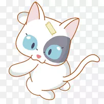 ��ͨ������-�ɰ���è-������