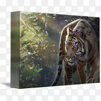 �ϻ���è½������Ұ������-�ϻ�-������