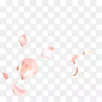 �����ֽ��ָ��д���Էۺ�m����-������