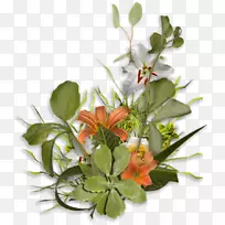 花卉设计-植物-空若网 花卉设计-植物-空若网