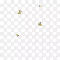 ���Ƶ�-������