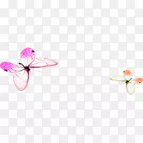 蝴蝶花卉设计-蝴蝶-空若网 蝴蝶花卉设计-蝴蝶-空若网