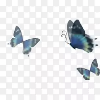 Ë®²Ê»£º»¨Ë®²Ê»-ºûµû-¿ÕÈôÍø Ë®²Ê»£º»¨Ë®²Ê»-ºûµû-¿ÕÈôÍø