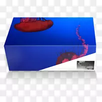 钴蓝矩形.设计-空若网 钴蓝矩形.设计-空若网