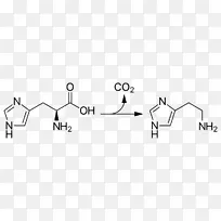 组氨酸脱羧酶脱羧氨基酸酪氨酸-空若网 组氨酸脱羧酶脱羧氨基酸酪氨酸-空若网