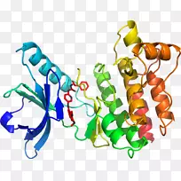 �����߶����������-������