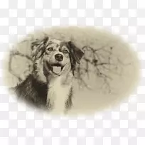 Ȯ�ְĴ���������Ȯ��Ȯ����-С��-������