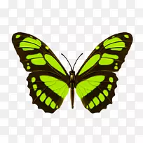 ����T����-������