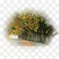 桌面壁纸秋季桌面隐喻摄影-秋季-空若网 桌面壁纸秋季桌面隐喻摄影-秋季-空若网